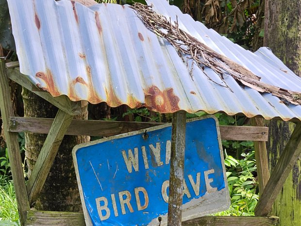 Wiya Bird Cave